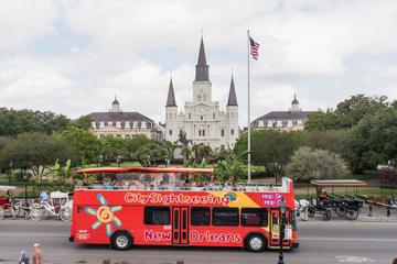 City Sightseeing New Orleans Hop-On Hop-Off Tour