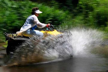 Big Island ATV Tour Above Waipio Valley