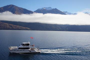 Stevensons Island Cruise and Nature Walk from Wanaka