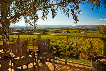 Yarra Valley Small-Group Wine Tour with 2 Course Lunch and Morning Tea