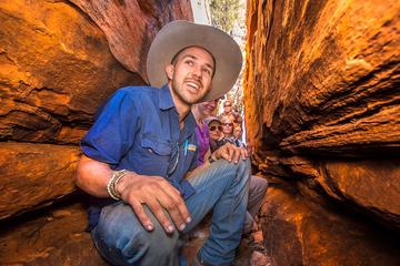3-Day Red Centre Camping Safari from Alice Springs or Ayers Rock Including Kings Canyon