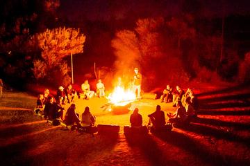 4-Day Red Centre Camping Safari from Alice Springs or Ayers Rock Including Kings Canyon