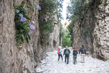 Hike the gorgeous Gorge