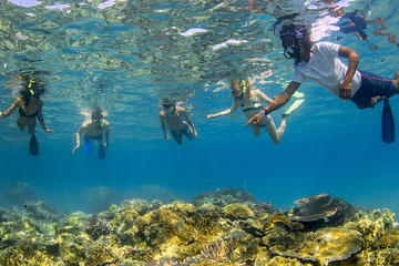 Feejee Five - 11 Days Island Hopping