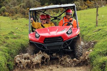 2 Hour Bush 'n Bog Track - BUGGIES