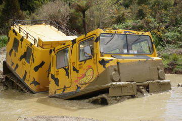 Off-Road Rainforest Hagglund Tour