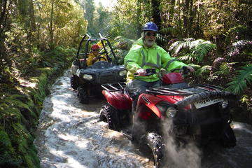 Quad Tour on the Enchanted Forest Track in Greymouth