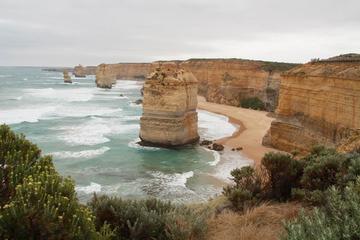 Melbourne Combo: Half-Day Melbourne City Sightseeing Tour and Great Ocean Road Day Trip from Melbourne