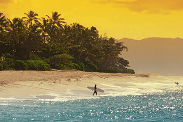 Intimate North Shore Eco-Fun Surf from Ko'Olina