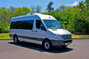 Shared Departure Transfer: Oahu Hotels or Cruise Terminal to Honolulu Airport