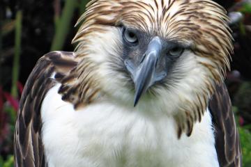 Davao Wildlife Adventure Tour