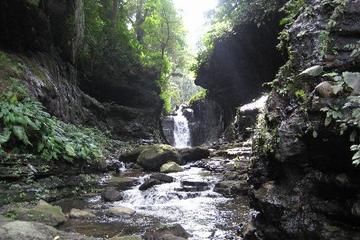 Hidden Valley Springs Resort Day Trip from Manila