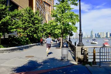 Hudson River - Sightseeing Running Tour
