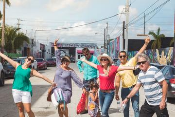 Total Miami Tour: Art, Beer and Beach Afternoon Adventure
