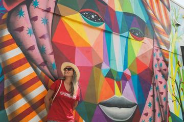 Total Miami Tour: Little Havana, Wynwood & South Beach Adventure
