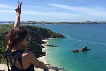 Phillip Island