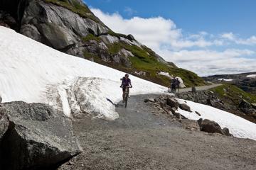 Bicycle tour along the scenic Flåmsbana railway from Bergen