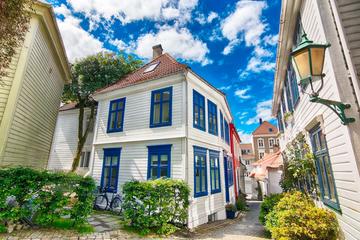Cruise Special - Bergen private city tour