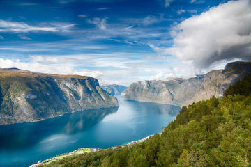 Cruise Special - Flåm private tour