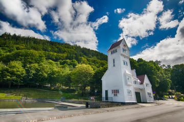 Cruise Special: Senior Citizen - Bergen city private tour