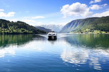Private tour: The Fjords in a Nutshell Sognefjord, Flåm & Gudvangen