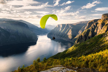 Private Tour to Sognefjord, Gudvangen and the Flåmsbana railway