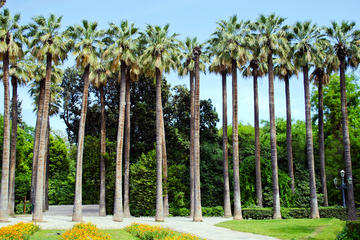 Athens: The most beautiful garden of the kingdom self-guided mobile tour