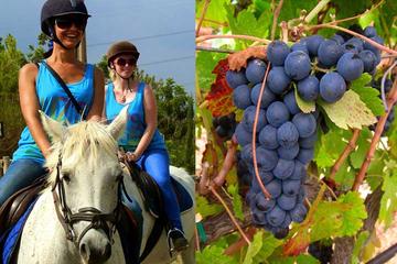 Horseback Riding Tour in a Natural Park and Wine tasting in Penedés