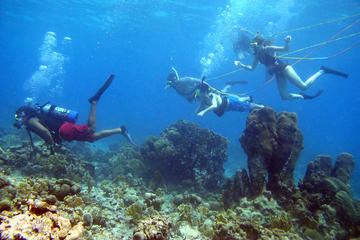 Introduction Scuba Diving Course (SNUBA)