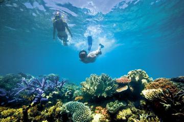 Snorkeling around Koh Rong Samloem Island