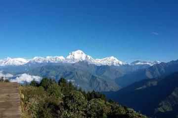 Ghorepani(Poonhill Trek)