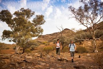 3-Day Small-Group Eco-Tour from Adelaide: Flinders Ranges