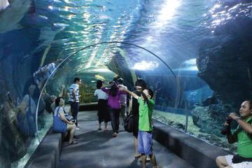 Sea Life Bangkok Ocean World Admission Ticket