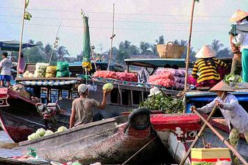 Mekong Delta Luxury Group Tour Cai Be-Vinh Long Full Day