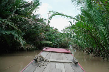 Mekong Delta Luxury Group Tour MyTho-BenTre Full Day