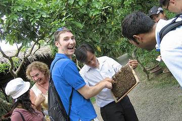 Mekong Delta Normal Group Tour MyTho-BenTre Full Day