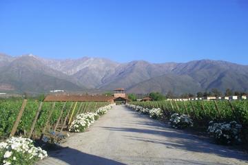 Aquitania and Cousino Macul Vineyards From Santiago