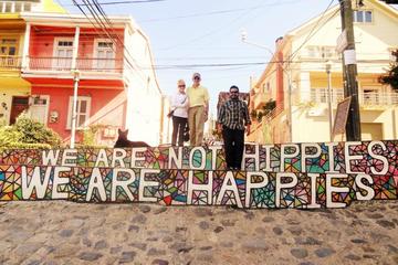 Private Day Trip: Valparaiso Experience with Boat Ride