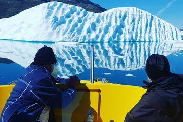 Glacier Cruise - Open boat