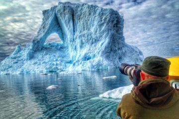 Glacier Cruise - Private charter 1-6 Passengers - Cabin boat