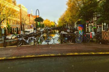 2 hour Amsterdam Layover tour