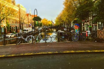 3-5 hour Amsterdam Layover tour