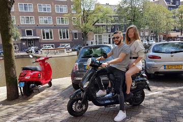 Laidback scooter rental