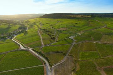 Climats Wine Experience with Tasting at Chateau de Pommard