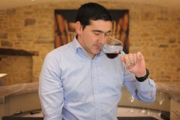Sommelier Wine Experience at Chateau de Pommard