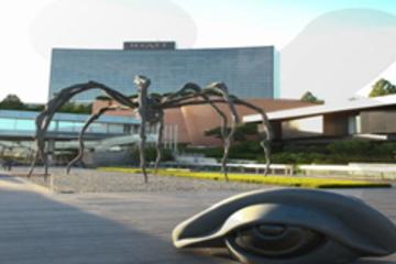 Contemporary Art Tour in Seoul