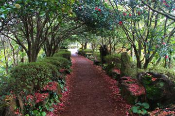 Naturally Gifted landmark of Jeju Island