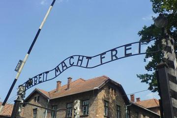 Auschwitz-Birkenau Museum and Memorial Guided Tour from Krakow