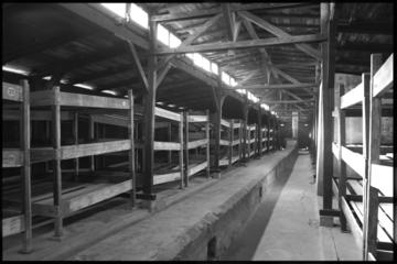 Auschwitz-Birkenau Tour from Krakow with Private Round-Trip Transfer
