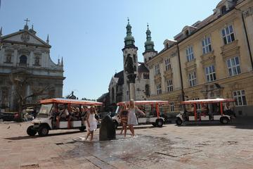 Krakow City Sightseeing Private Tour by Eco Friendly Electric Car With Live Guide